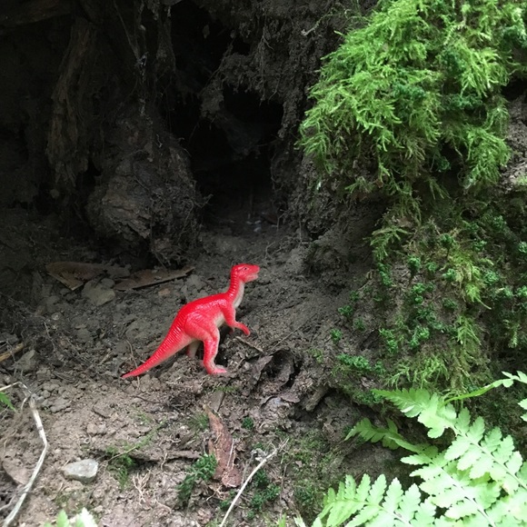 Meet your Posher, Annabelle - Picture 1 of 1